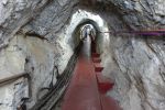 PICTURES/Gibraltar - Skywalker & O'Hara's Battery/t_DSC01014.JPG